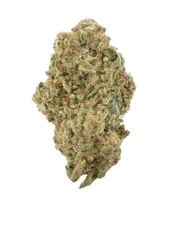 MAC - GH - 3.5G