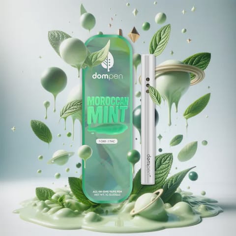 District Cannabis | Moroccan Mint CBD 1:1 AIO | Disposable 1g