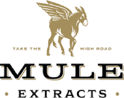Mule Extracts | Star Slinger | 1g Live Resin