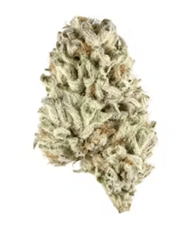 Sour Dulce Deli Flower New Jeezum