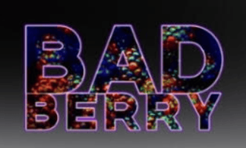 Bad Berry Baddie 1G Infused Pre-roll by Stay Bad!