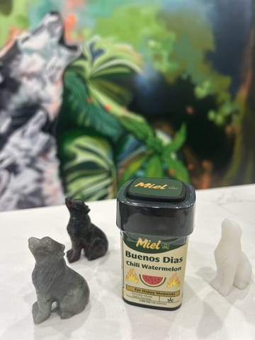 Easyday | Chili Watermelon | Edible | 5mg (20-Pack)