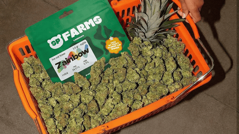SP Farms | Zainbow | 3.5g Flower