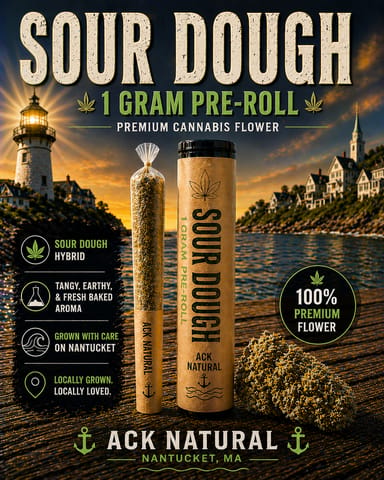 Sour Dough '26 Pre-Roll - 1G