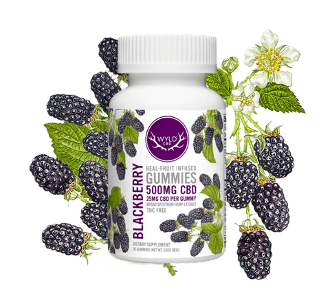 WYLD | REAL FRUIT- HEMP INFUSED GUMMIES | BLACKBERRY | CBD | 500MG CBD TOTAL | 20 PIECES
