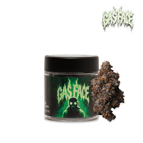 Seed Junky | Gas Face (H) | 3.5g Premium Indoor Flower