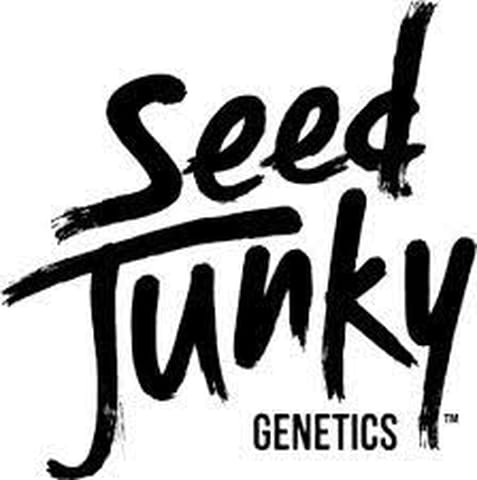 Seed Junky | Gas Face (H) | 3.5g Premium Indoor Flower