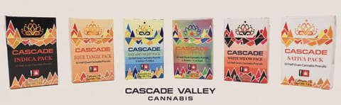Turquoise Jeep 10 PK Joints (CVC)