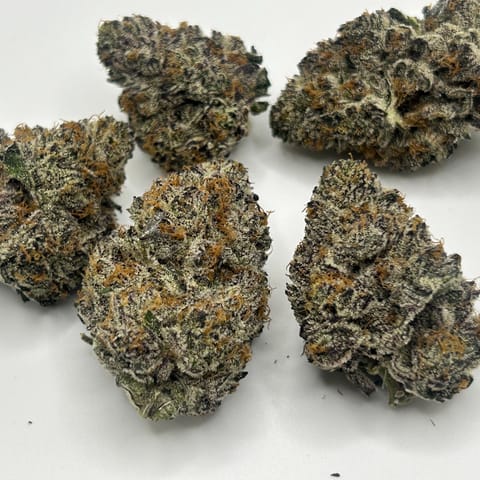 Ice Cream Runtz by Flower Mountain Farms