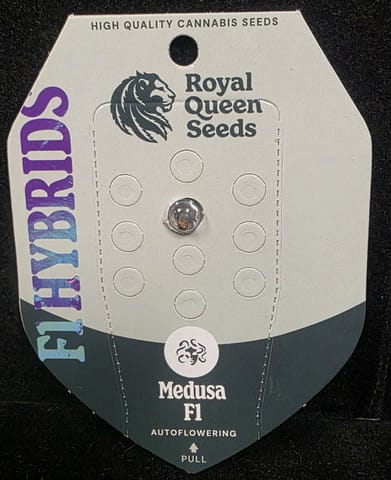 Auto Flowering Seeds - Medusa F1 Auto