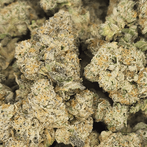 Freedom Green Flower Butter Boi Sativa
