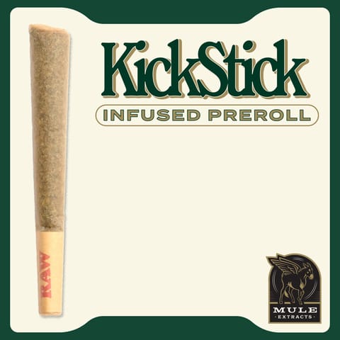 Mule Infused Preroll | Strawberries & Cream x Memory Loss 1g