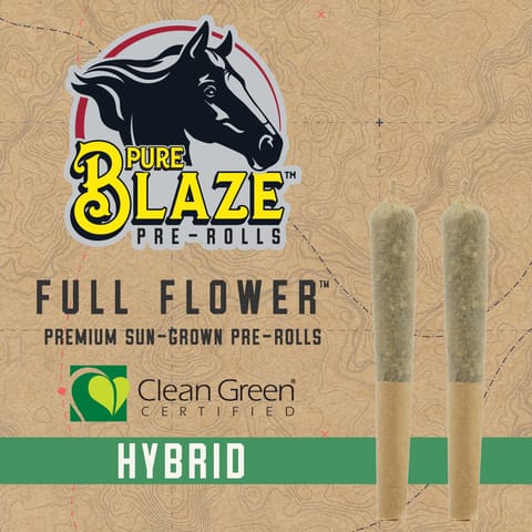 Pure Blaze | 1g Blueberry Headband Pre-Roll | H |