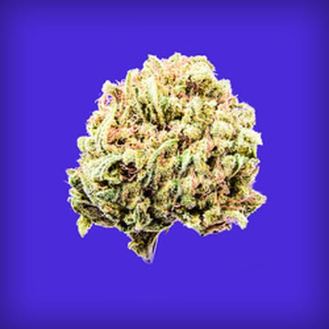 Maggie's Farm | Popcorn | Strawnana Magic | S | 28g