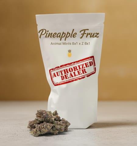 Authorized Dealer - Pineapple Fruz - Flower - 28g