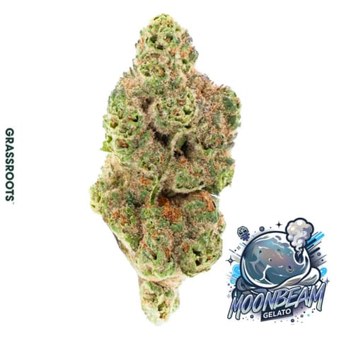 Moonbeam Gelato - 1g - Flower - Indoor