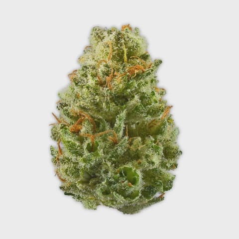 Strawberry Cough Deli Flower