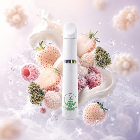 Berry White -Disposable - 1g