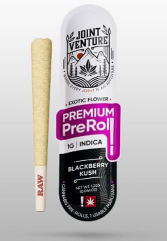 Joint Venture | BlackBerry Kush | 1G | Preroll