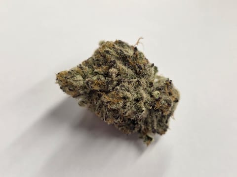 Deep Creek Gardens | Coconut Cream
