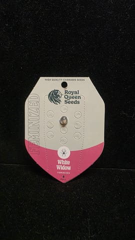 Feminized Seeds - White Widow FEM