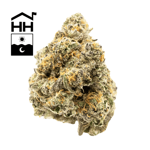 Flower | 3.5g | Hybrid | Pink Maple #4