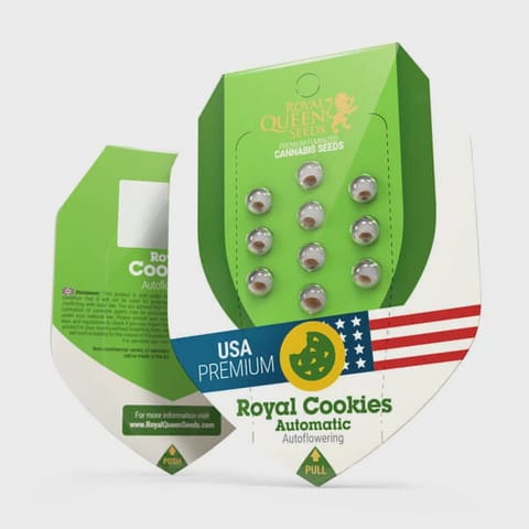 Royal Queen Autoflower seeds 3 pk - Royal Cookies Auto