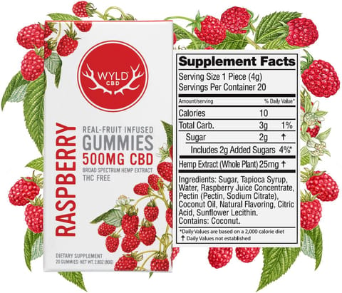 Raspberry 500MG CBD Gummy (WYLD)