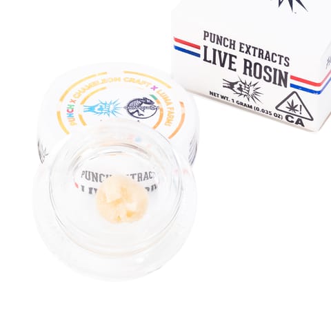 PUNCH - ROSIN BADDER - MANGO MADNESS TIER 1 - 1G