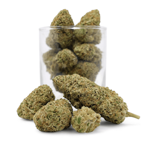 Pixi Stick - Sativa - Platinum