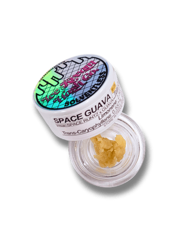 Space Guava 1g Live Rosin | Ice Kream Hash Co.