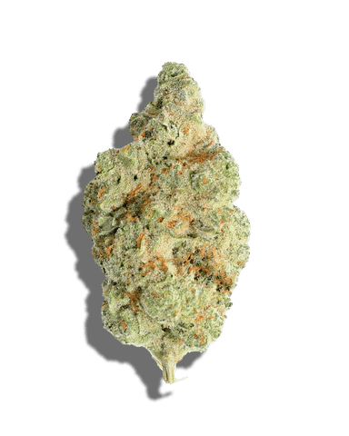 Lemon Head - Flower - Premium