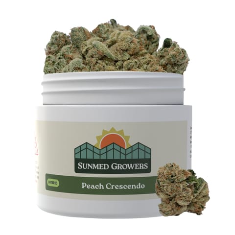 SunMed | 3.5g | - Peach Crescendo | 3.5g Plastic Container