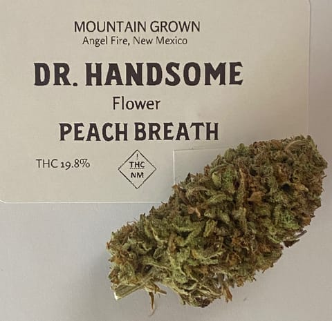 Dr. H | Peach Breath | Preroll | 1 g