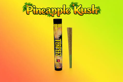 Pineapple Kush 1G Infused Preroll (Terpeez)