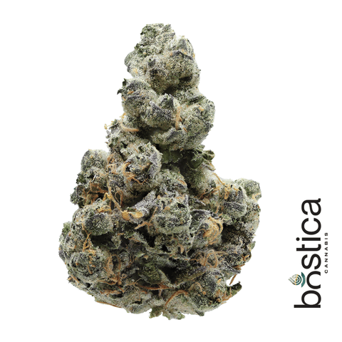 Gelato 33 - 3.5g