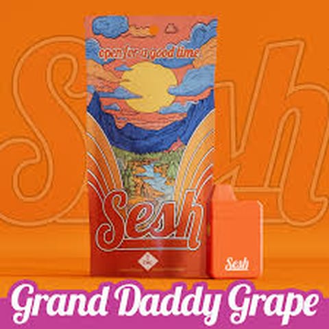 Sesh 1g AIO - Grand Daddy Grape