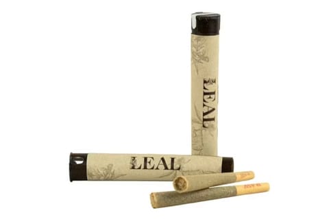 Blue Nerds - 1g - Pre-Roll
