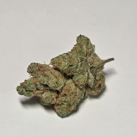 Kaprikorn | Cherry Dosi