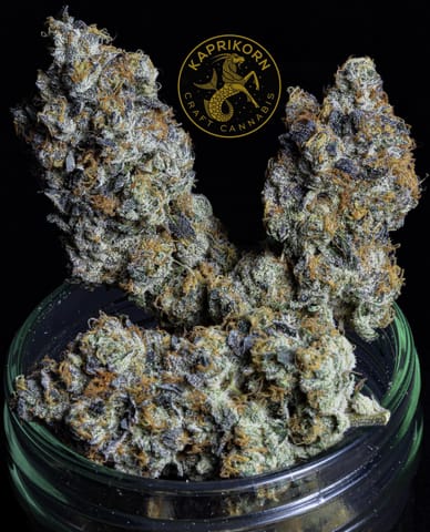 Kaprikorn | Cherry Dosi