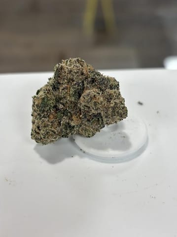Rare Dankness | Blue Zushi