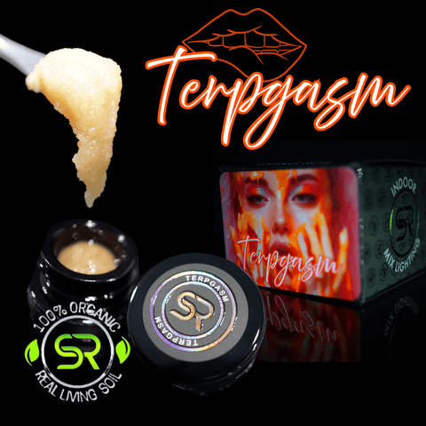 Terpgasm 1g Rosin