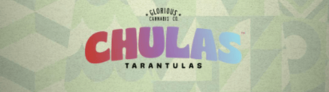 Peach Rings Chulas Infused Pre-Roll