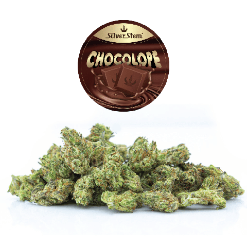 Chocolope Popcorn | Sativa - | Eighth