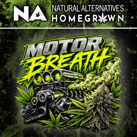 NA Motor Breath