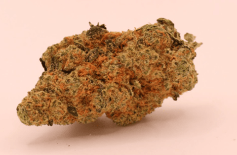 Capital Cherry 23.50% Flower
