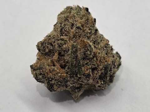Goodies | Lemon Cherry Sherbet