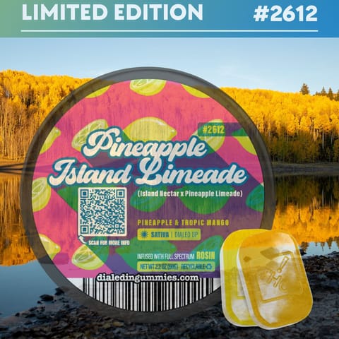 Pineapple Island Lemonade Sativa Rosin Gummies by Dialed In | Golden Rookie