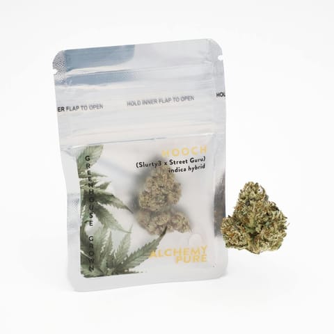 Alchemy Pure | Hooch Dime Bag | Flower | 0.7g