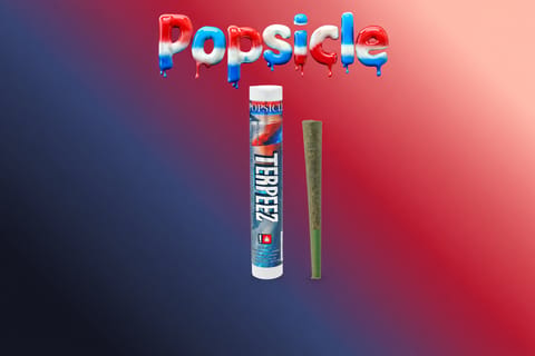 Popsicle 1G Infused Preroll (Terpeez)